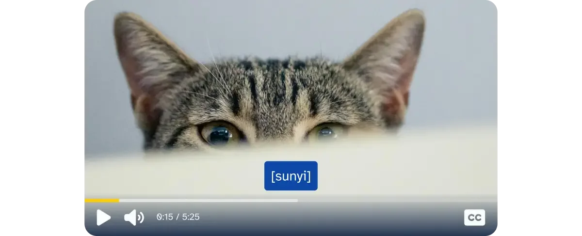 Video player yang dijelaskan pada caption