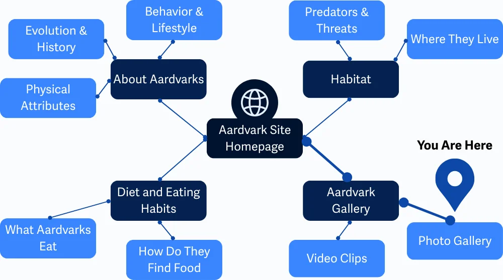 Peta sebuah situs web