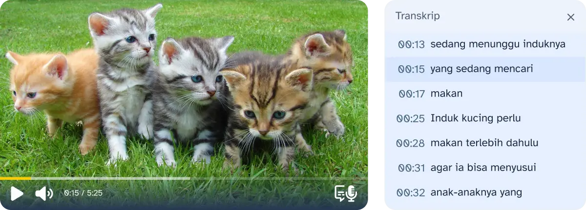 Video player beserta transkrip dengan gambar 5 anak kucing