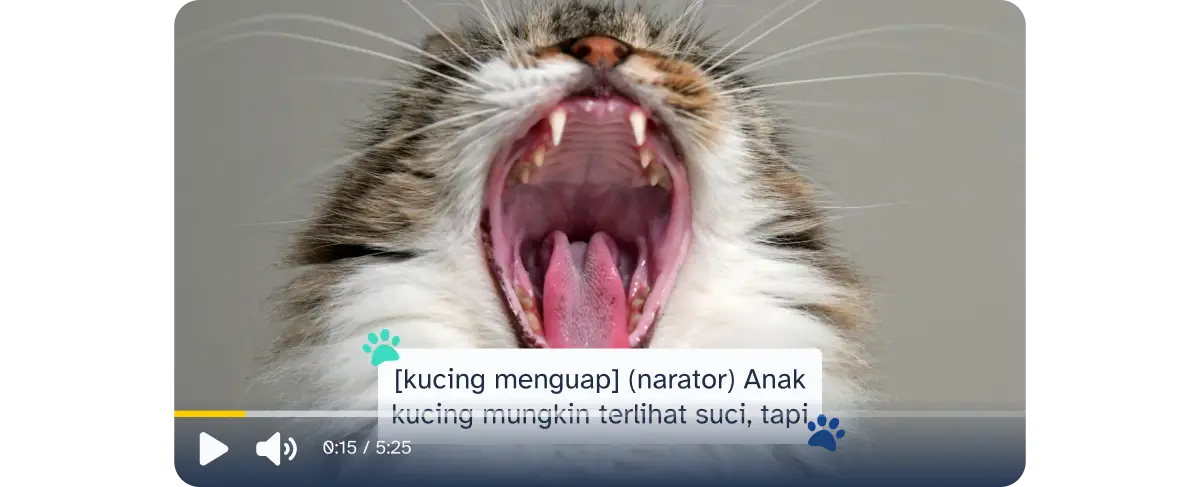 Media player dengan caption terbuka
