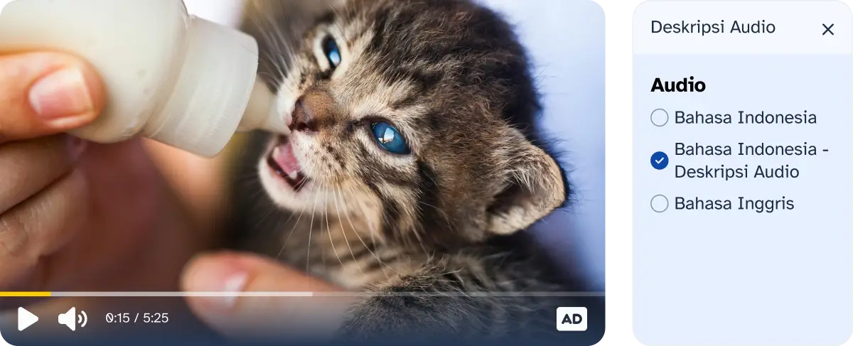 Video player