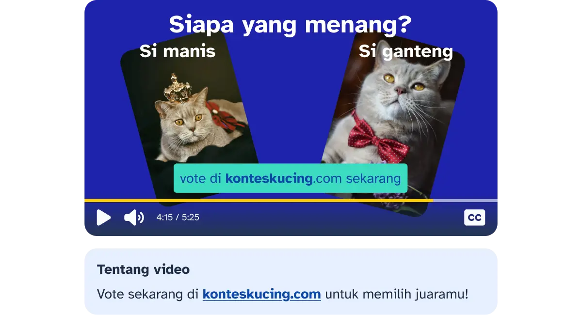 Video pemilihan kucing yang disertai tautan di bawahnya