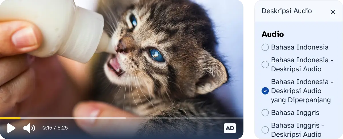 Video player lain yang dijelaskan pada caption