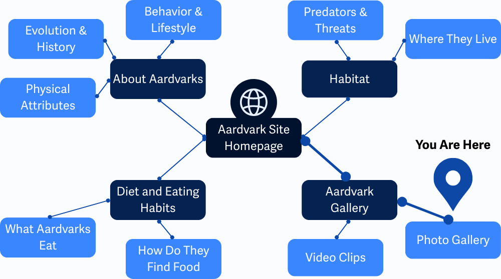 Peta sebuah situs web