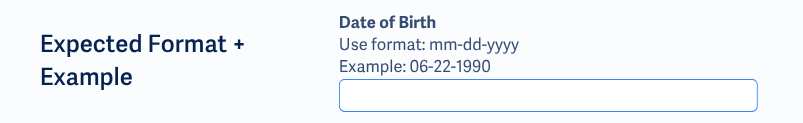 Kolom 'Tanggal Lahir' dengan instruksi format dan tanggal contoh di atas kolom input.